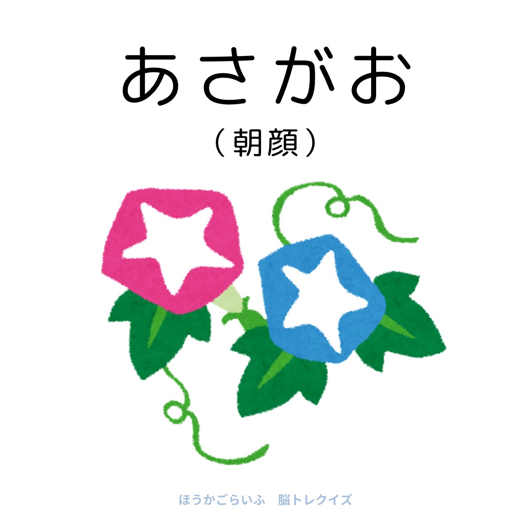 高齢者向け（無料）言葉の並び替えで脳トレしよう！文字（ひらがな）を並び替える簡単なゲーム【夏】健康寿命を延ばす鍵